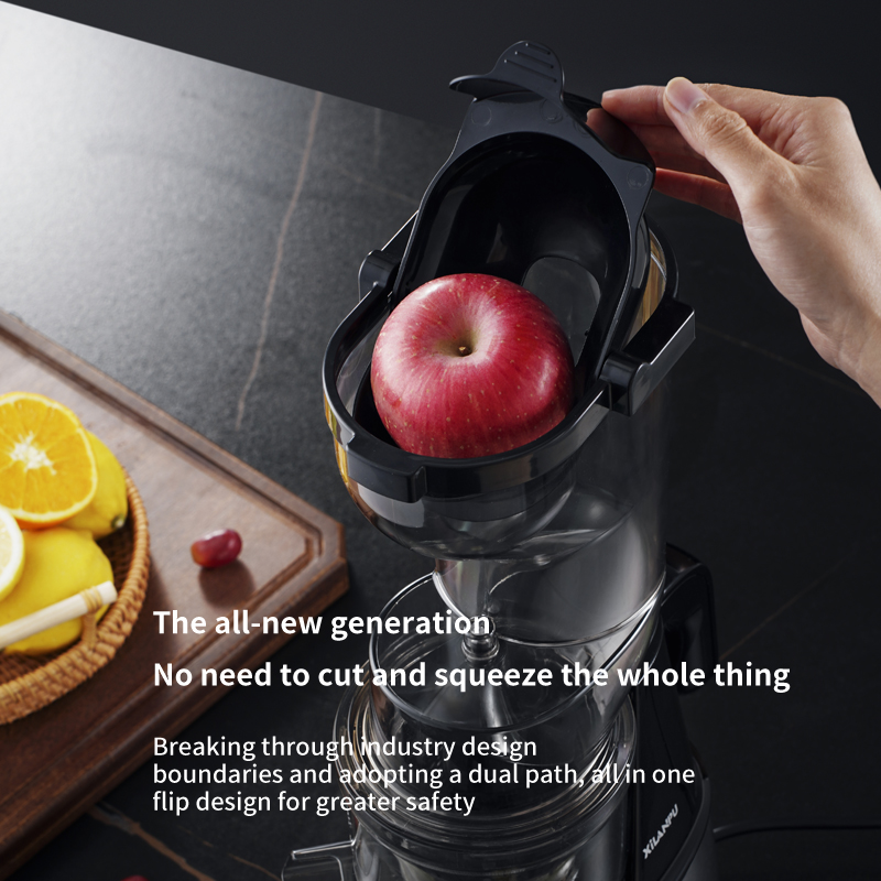 채소 과일 오렌지 착즙기 상업용 다기능 주스 기계 대형 - Electric Slow Juicer Cold Press 리뷰 및 가격
