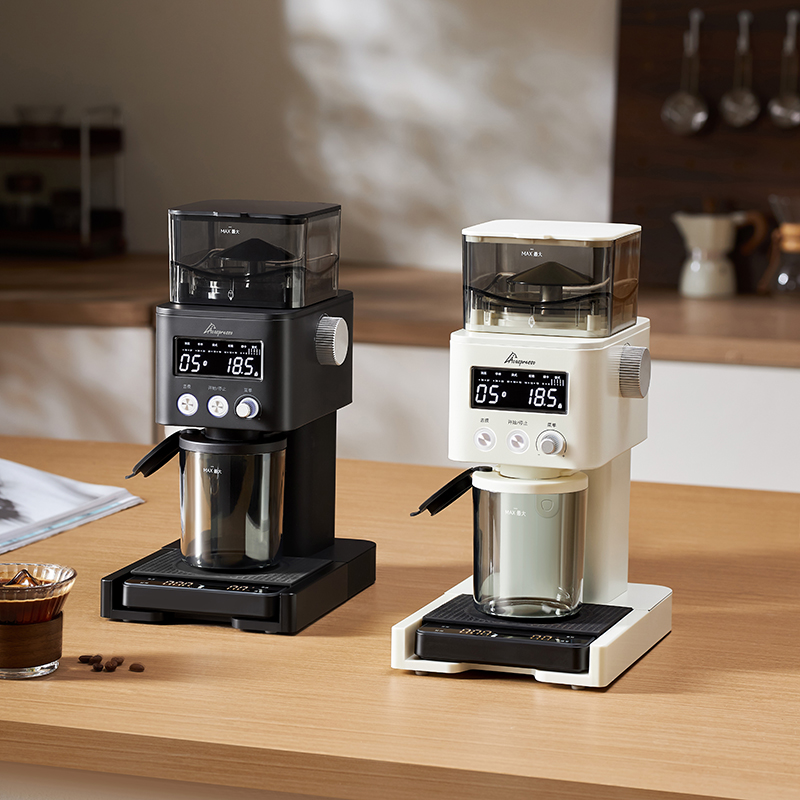 전동 커피 그라인더, 30단계 분쇄 조절, 에스프레소용 - Coffee Bean Grinder Electric 리뷰 및 가격